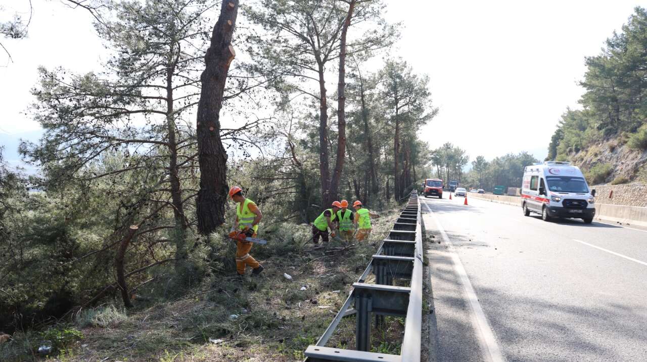 Sakar Geçidi’nde Yangın Riskine Karşı Yol Kenarı Temizliği Sürüyor 7